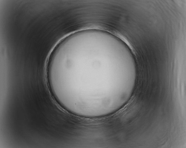 X0000094771116200711160825