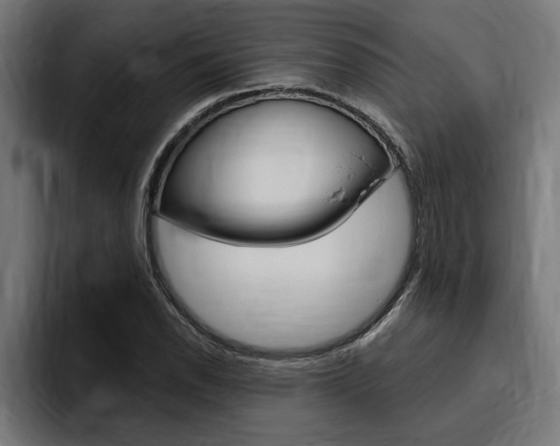 X0000094771118200711160825