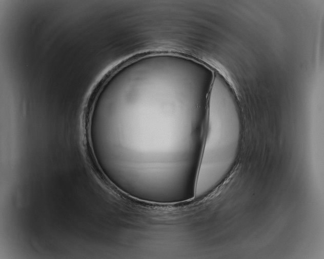 X0000094771120200711160825