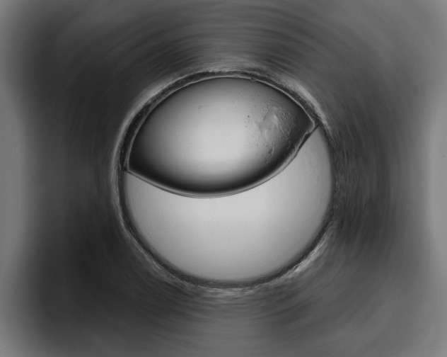 X0000094771122200711160825