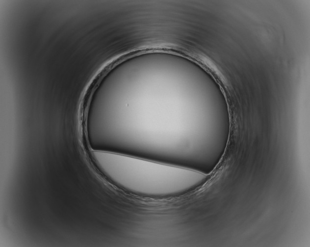 X0000094771124200711160825