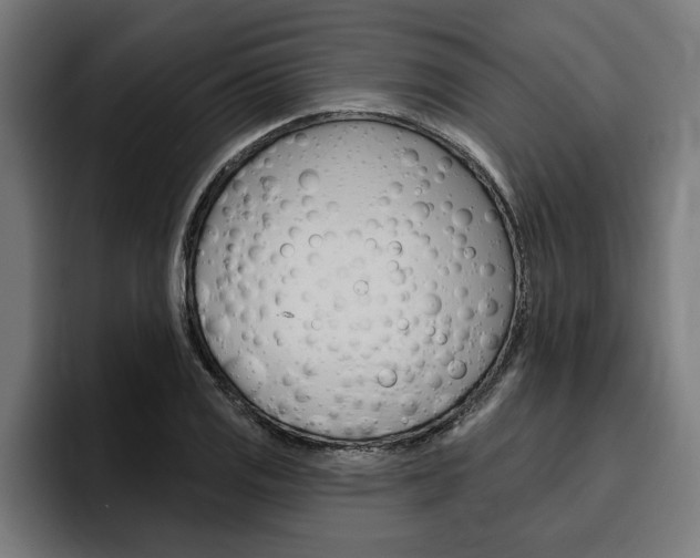 X0000094771125200711160825