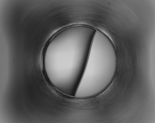 X0000094771127200711160825