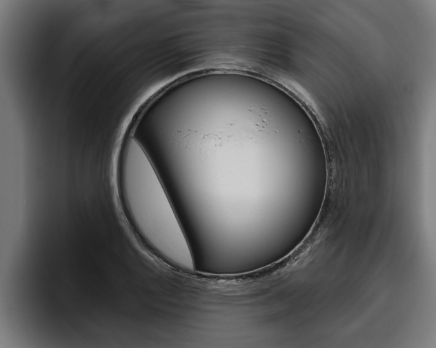 X0000094771128200711160825