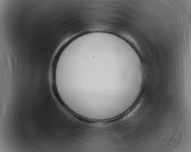 X0000094771130200711160825