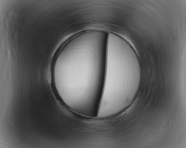 X0000094771131200711160825