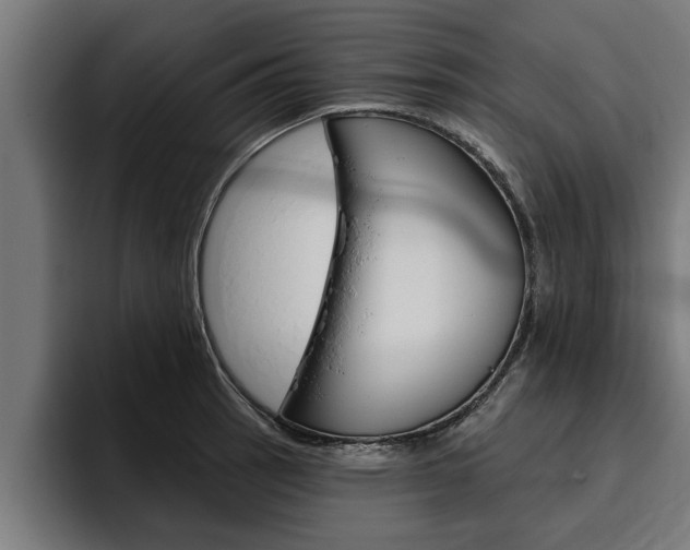 X0000094771137200711160825