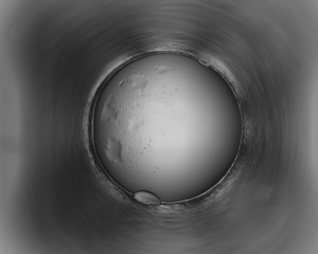 X0000094771138200711160825