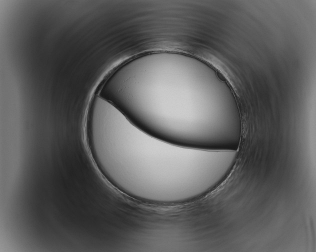 X0000094771139200711160825