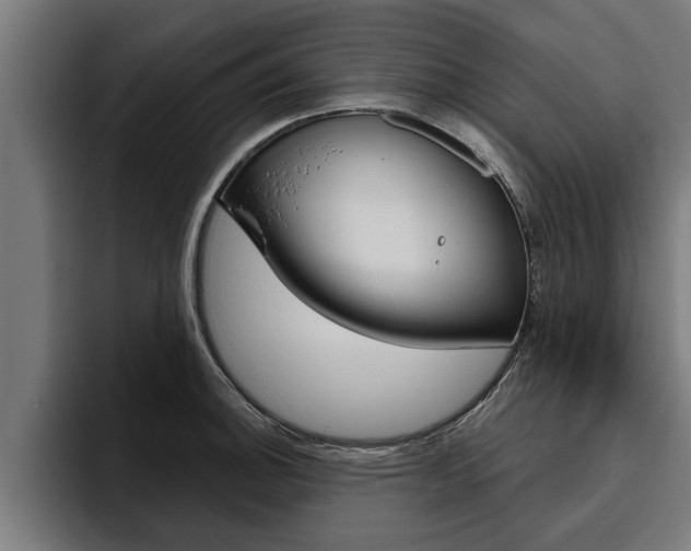 X0000094771140200711160825