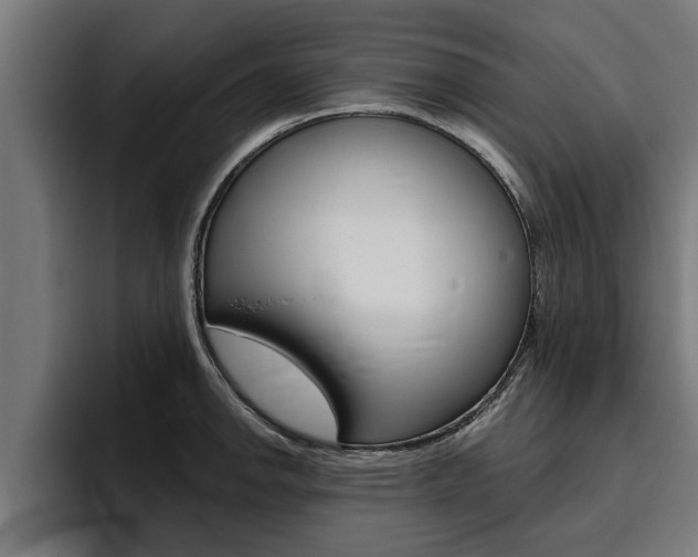 X0000094771142200711160825