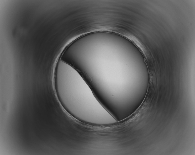 X0000094771143200711160825