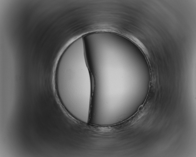 X0000094771144200711160825