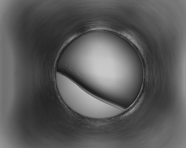 X0000094771145200711160825