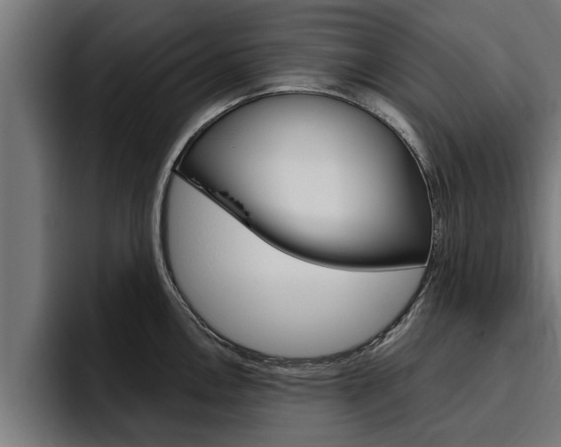 X0000094771146200711160825