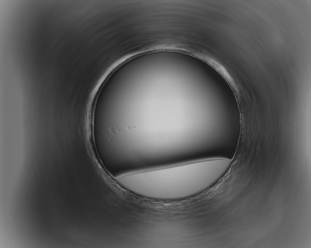 X0000094771148200711160825