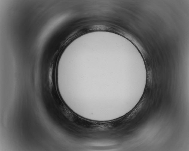 X0000094771150200711160825