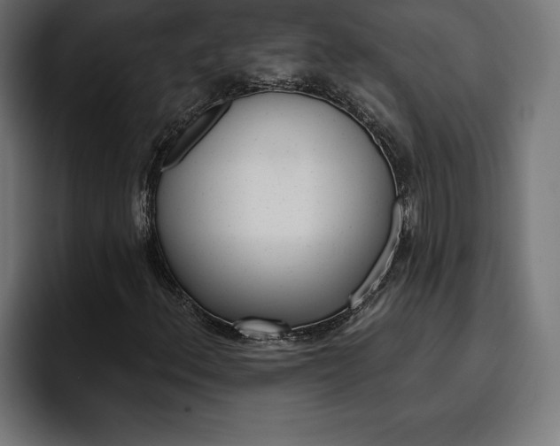 X0000094771156200711160824