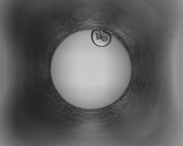 X0000094771157200711160824