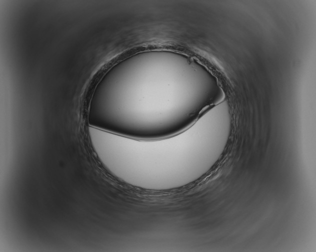 X0000094771160200711160824