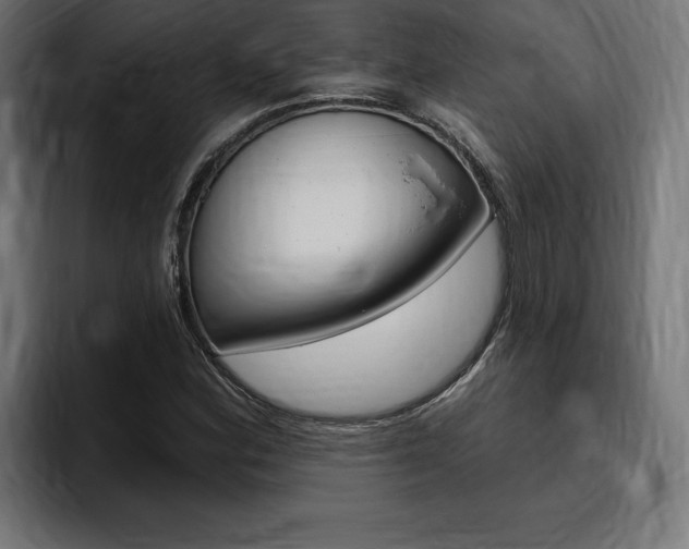 X0000094771164200711160824