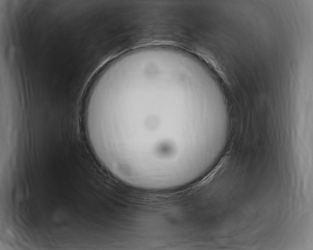 X0000094771165200711160824