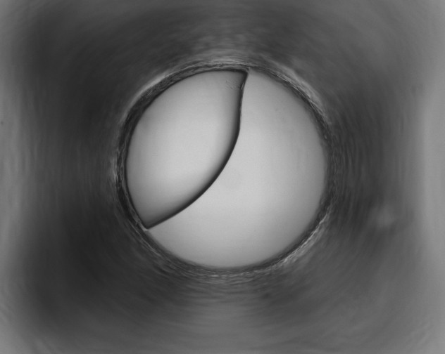 X0000094771166200711160824