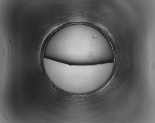X0000094771167200711160824
