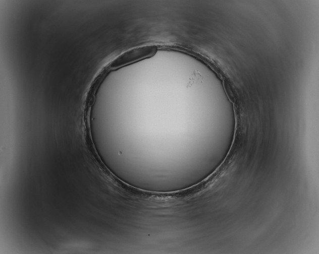 X0000094771168200711160824