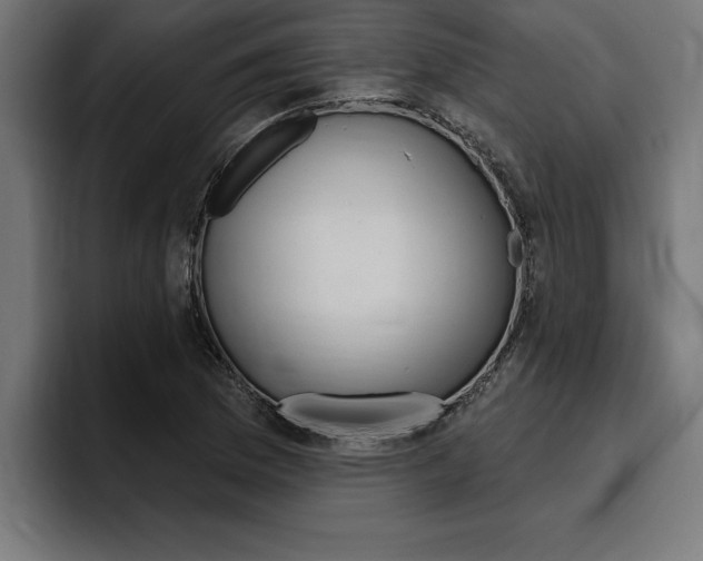 X0000094771169200711160824