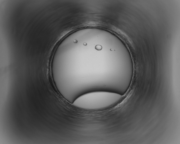 X0000094771170200711160824