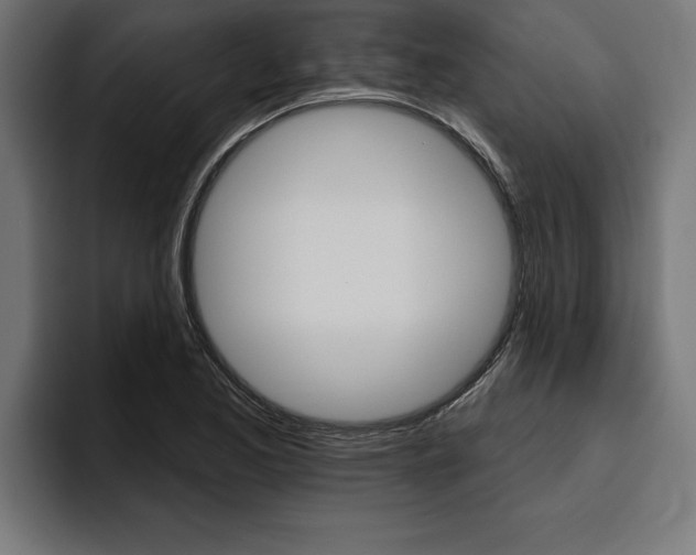 X0000094771173200711160824