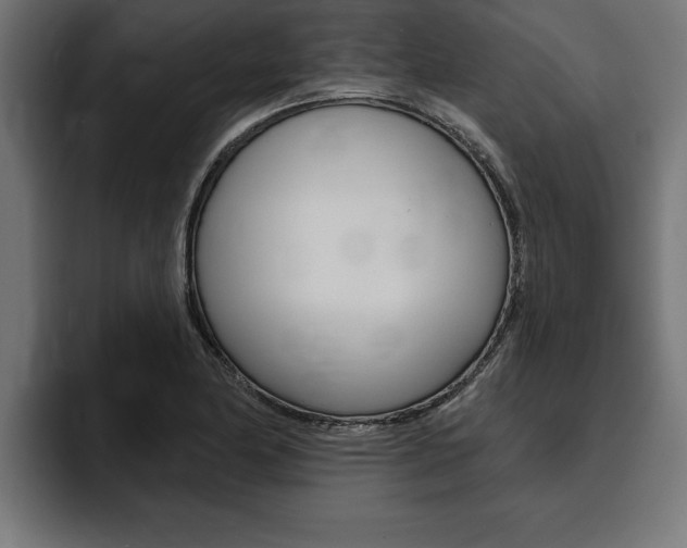 X0000094771174200711160824