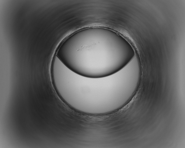 X0000094771181200711160824