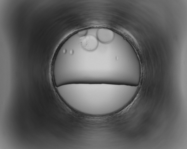 X0000094771182200711160824