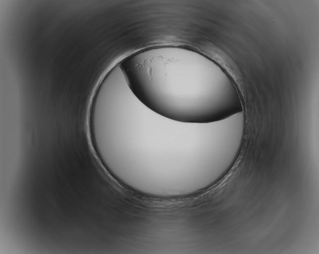 X0000094771187200711160824