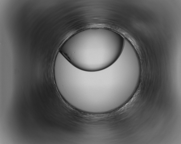 X0000094771193200711160824