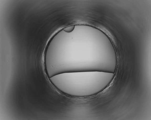 X0000094771198200711160824