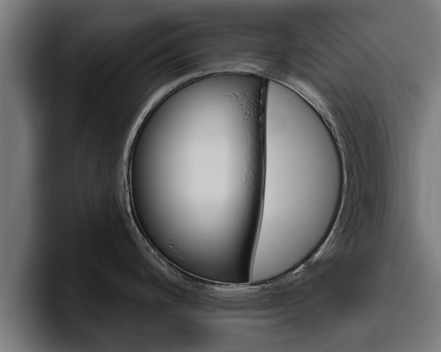 X0000094771200200711160824