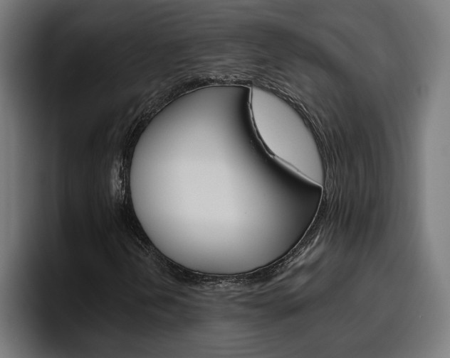 X0000094771202200711160823