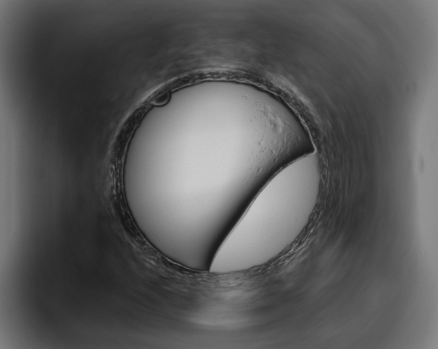 X0000094771208200711160823
