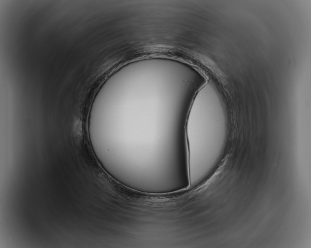 X0000094771209200711160823