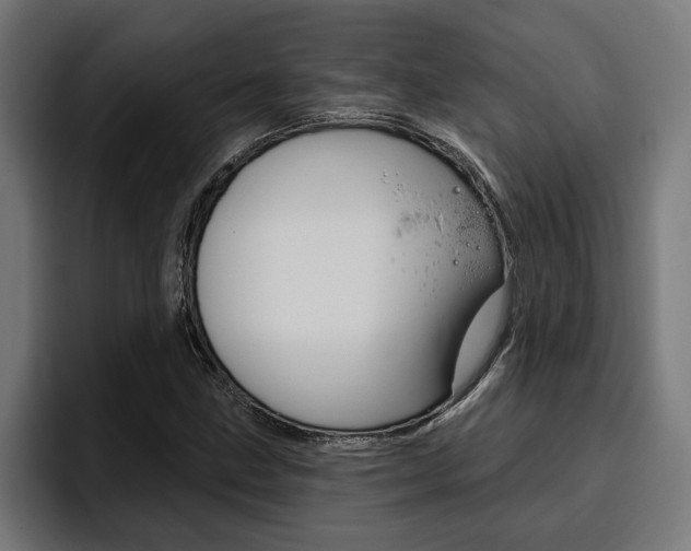 X0000094771211200711160823