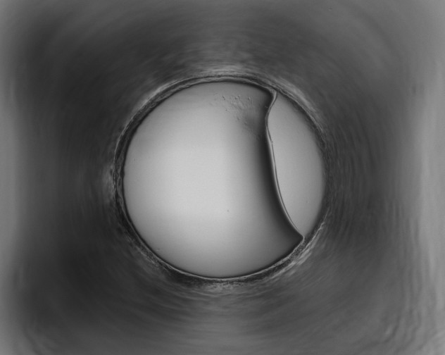 X0000094771212200711160823