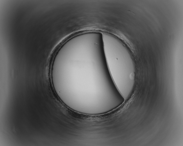 X0000094771216200711160823