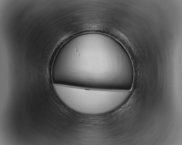 X0000094771218200711160823