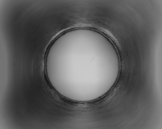 X0000094771220200711160823