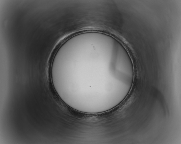 X0000094771222200711160823