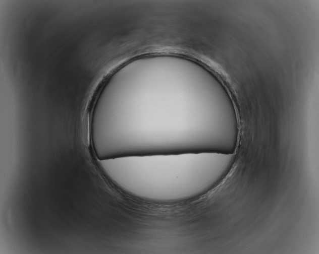 X0000094771223200711160823