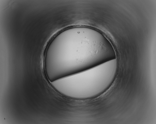 X0000094771224200711160823